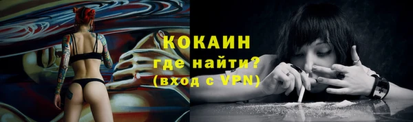 дживик Алзамай