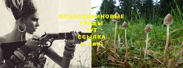 дурь Алексин